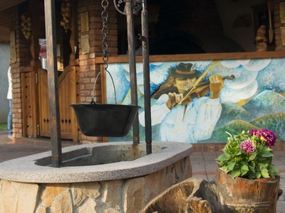 Тераса Чарівна тайстра